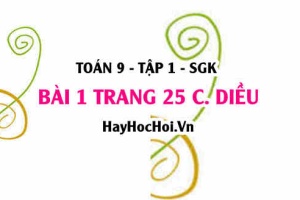 Bài 1 trang 25 Toán 9 tập 1 Cánh Diều